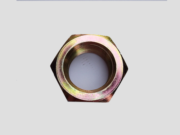 Z6·尊龙凯时(中国区)人生就是搏!